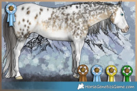 Horse Color:Buckskin Splash Appaloosa Rabicano 