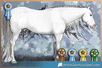 Horse Color:Buckskin Splash Appaloosa Rabicano 