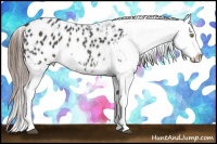 Horse Color:White Spotted Grullo Splash Blanket 