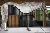 Horse Color:Silver Black Ice
