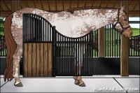 Horse Color:Chestnut Ice 