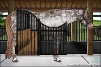 Horse Color:Liver Chestnut Ice 