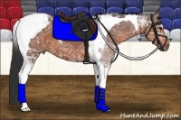 Horse Color:Bay Ice Tobiano