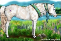 Horse Color:Bay Pearl Dun Splash Appaloosa 
