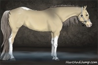 Horse Color:White Spotted Chocolate Palomino Dun Splash Tobiano 
