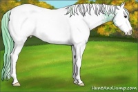 Horse Color:Watercolor White Spotted Black Snowcap 