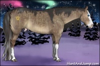 Horse Color:Brown Dun Splash and Liver Red Dun Splash
