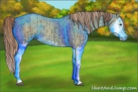 Horse Color:Liver Red Dun Splash  and Chocolate Palomino Dun Splash 