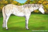 Horse Color:Palomino Dun Splash  and Palomino Dun Splash 