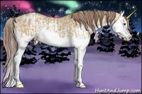 Horse Color:Red Dun Splash  and Red Dun Splash Varnish 