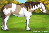 Horse Color:Liver Red Dun Splash  and Liver Red Dun Splash 