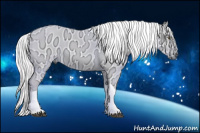 Horse Color:Gray Palomino Ice Roan Dun Tobiano 