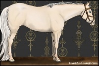 Horse Color:Silver Buckskin Pearl 