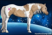 Horse Color:Silver Bay Dun Tobiano 