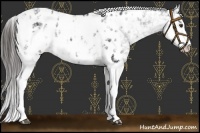 Horse Color:Liver Chestnut Sabino Near Leopard 