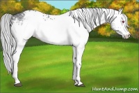 Horse Color:White Spotted Silver Grullo Chinchilla Ice 