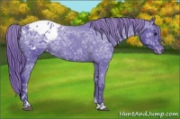 Horse Color:Watercolor Black Ice Sabino Varnish Rabicano 