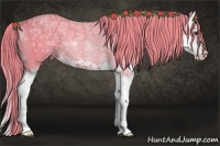 Horse Color:Watercolor Chestnut Ice Sabino Splash