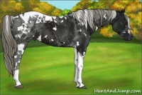 Horse Color:White Spotted Liver Chestnut Ice Tobiano