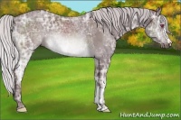 Horse Color:Chocolate Silver Brown Chinchilla Ice 