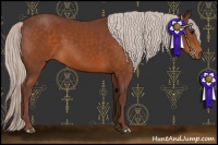 Horse Color:Chocolate Silver Bay