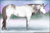 Horse Color:White Spotted Chocolate Black Chinchilla 