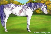 Horse Color:Watercolor White Spotted Brown Splash Rabicano 