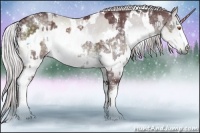 Horse Color:White Spotted Chocolate Silver Black Chinchilla and White Spotted Chocolate Silver Brown Chinchilla