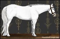 Horse Color:Chocolate Palomino Pearl Appaloosa 