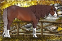 Horse Color:Chocolate Brown Splash 