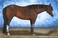 Horse Color:Black  and Bay 