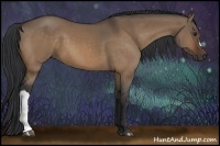 Horse Color:Bay Dun