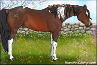 Horse Color:Bay Sabino Tobiano 