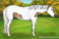 Horse Color:Silver Smoky Black Splash Tobiano 