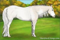Horse Color:Silver Smoky Creme Roan Sabino 