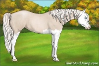 Horse Color:Silver Smoky Blue Roan Pearl Splash 