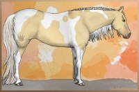 Horse Color:Silver Buckskin Dun Tobiano 