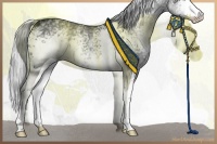 Horse Color:White Spotted Silver Black Chinchilla 