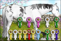 Horse Color:Smoky Black Sabino Splash Rabicano 