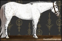 Horse Color:Brown Dun Near Leopard 
