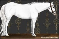 Horse Color:Silver Buckskin Dun Near Fewspot 