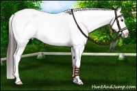 Horse Color:Brown Roan Dun Splash Snowcap 