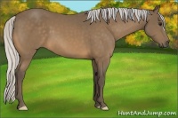 Horse Color:Silver Buckskin 