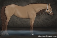 Horse Color:Liver Red Dun 