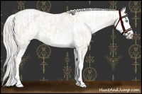 Horse Color:Cremello Sabino  and Cremello Sabino 