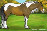 Horse Color:Bay Roan Splash Tobiano 