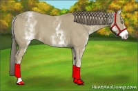 Horse Color:White Spotted Classic Cream Champagne