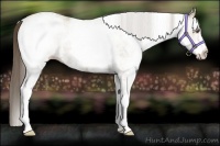 Horse Color:White Spotted Classic Cream Champagne 