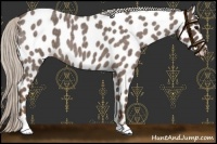 Horse Color:Silver Blue Roan Leopard 