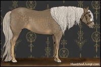 Horse Color:Chocolate Palomino 
